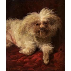 August Friedrich Albrecht Schenck (1821-1900). Rtratto di cane maltese.