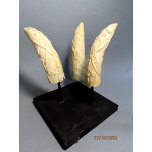 Three Scrimshaws. Flowering Plant. 19th Century.