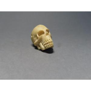 Memento Mori In Bone. Vanity. Early 20th Century
