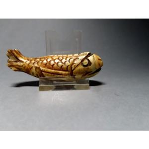 Netsuke Made Of Marine Ivory. Parrotfish. Japan, Meiji Period (1868-1912)