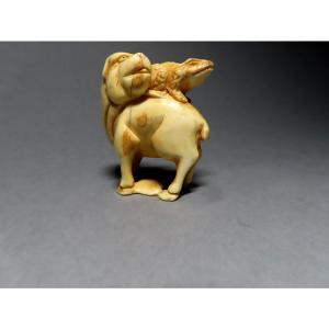 Netsuke In Marine Ivory. Mastiff With Toad. Meiji Period, Japan.