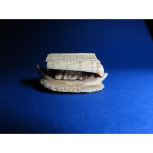 Ivory Netsuke. Sleeping Boat. Signed Masaharu, Tokyo School, Meiji Period, Japan (1868-1912)