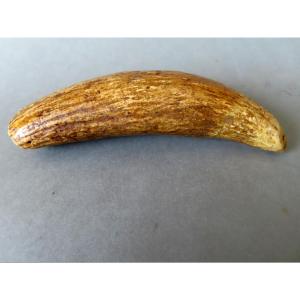 Tabua, Sperm Whale Tooth, Ivory. Polynesia, 19th Century.