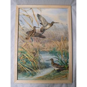 Boris Riab, Woodcocks In Flight, Ink And Watercolor On Paper, Signed, 50/35.5cm, 20th Century