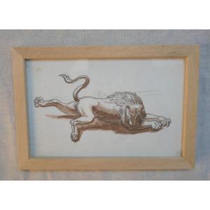 Study Of A Lion, Ink On Paper, Michel Nitot, Charles Dufresne, 19th Century