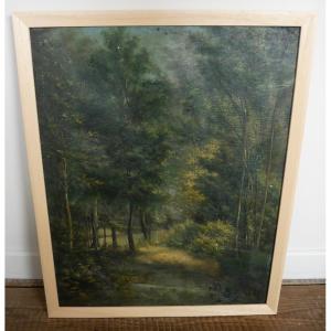 Eugène Eckendorf, Oil On Canvas, Sous-bois, 1900