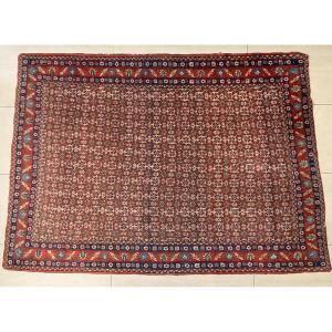 Kurdish Senneh Wool Rug, Early 20th Century