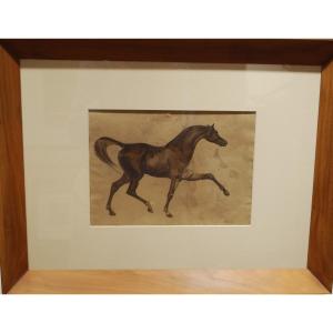 Horse At A Trot Pencil And Wash Beautiful Walnut Frame