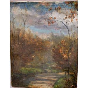 Thecountry Path By Eugène d'Argence