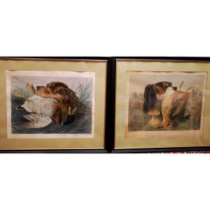 Hunting Dogs Pair Of Lithographs