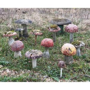 Concrete Mushroom Series 