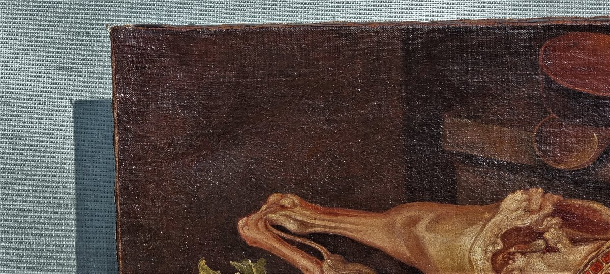 Natura morta, Olio su tela, Epoca '700, Giovanni Rivalta-photo-4