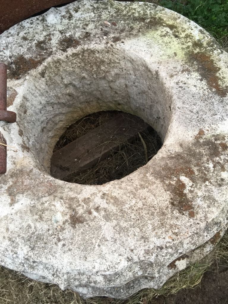 Pozzo in pietra calcarea, Luigi XIV-photo-2