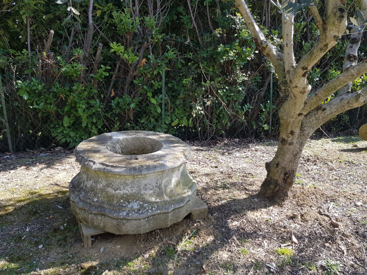 Pozzo in pietra calcarea, Luigi XIV-photo-1