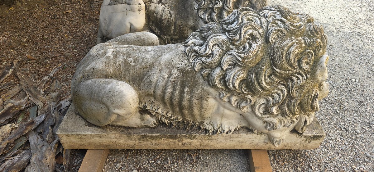 Maestosa Coppia Monumentale di Leoni in Marmo di Carrara-photo-3