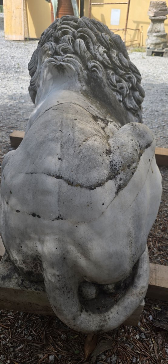 Maestosa Coppia Monumentale di Leoni in Marmo di Carrara-photo-1
