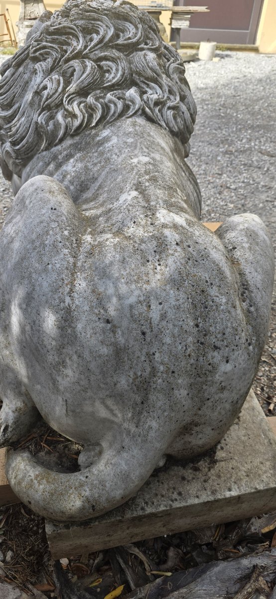 Maestosa Coppia Monumentale di Leoni in Marmo di Carrara-photo-2