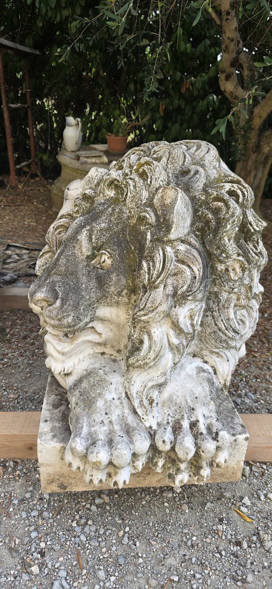Maestosa Coppia Monumentale di Leoni in Marmo di Carrara