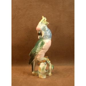 Saxon Porcelain Parrot And Cockatoo 