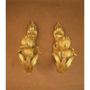 Pair Of Art Nouveau Bronze Curtain Tiebacks Decorated With Irises