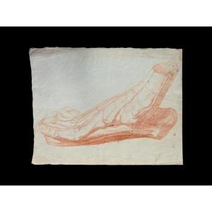 Anatomical Foot - 18th Century