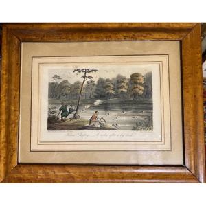 Heron Hunting Engraving, Aquatint Engraving By Alken