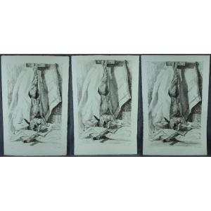 René Cottet "still Life With Hare" Original Chisel 1941 Rare Meeting Of 3 Different States