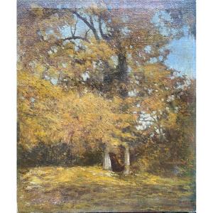 Luigi Cima (1860–1944) - Wooded Landscape – Oil On Canvas, Dated 1908