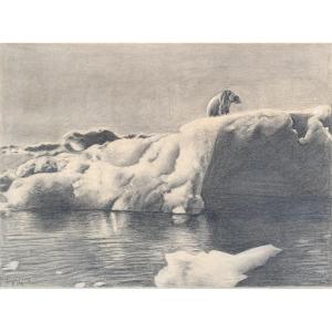 Polar Bear On The Ice Floe – Graphite Drawing With White Pencil Highlights – Early 20th Century