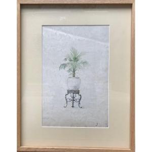 Watercolor Drawing Late 19th Century - Framed