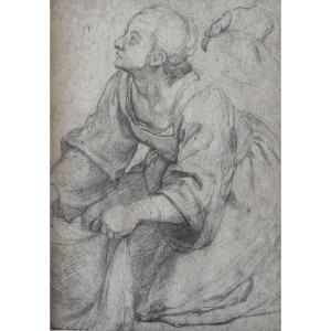 Florentine School, 17th Century - Study For Saint Veronica