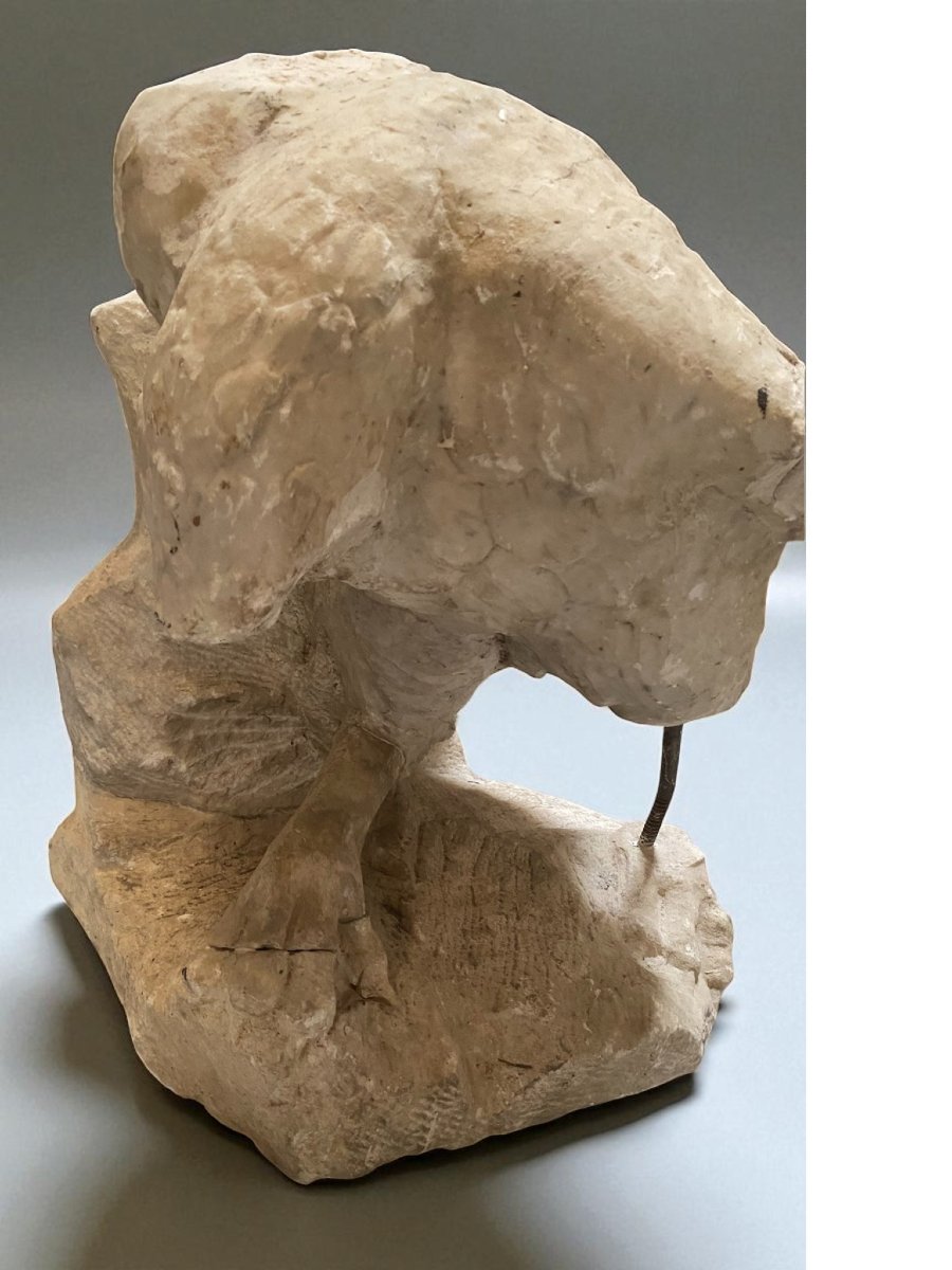 SCULTURA FRAMMENTO RAFFIGURANTE AQUILA IN MARMO-photo-2