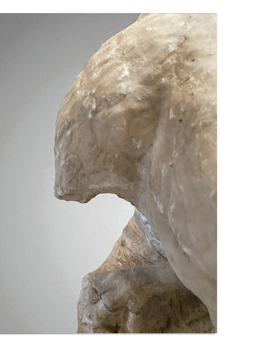 SCULTURA FRAMMENTO RAFFIGURANTE AQUILA IN MARMO-photo-3
