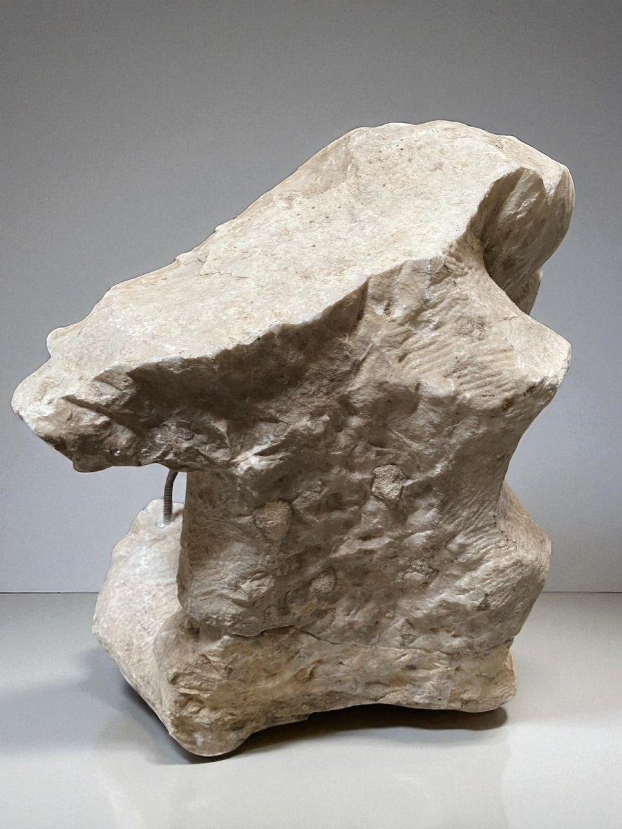 SCULTURA FRAMMENTO RAFFIGURANTE AQUILA IN MARMO-photo-4