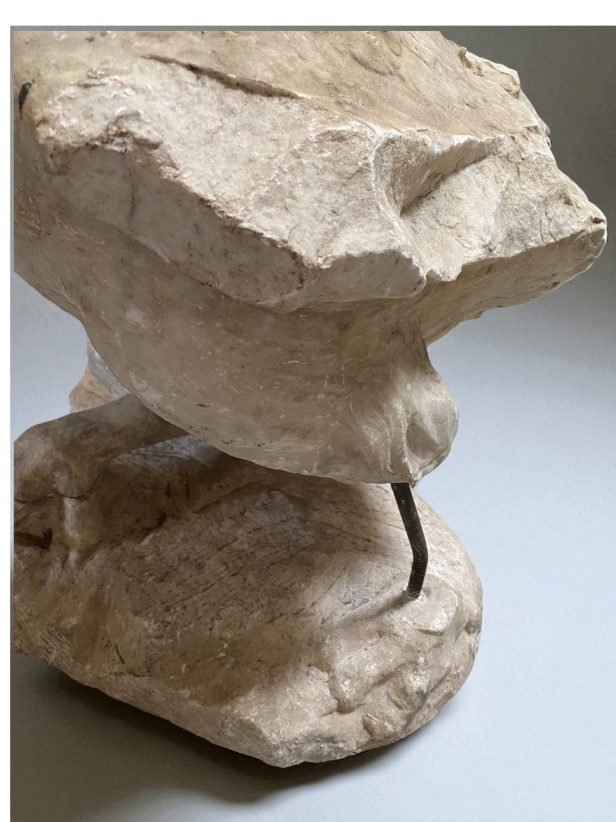SCULTURA FRAMMENTO RAFFIGURANTE AQUILA IN MARMO-photo-3