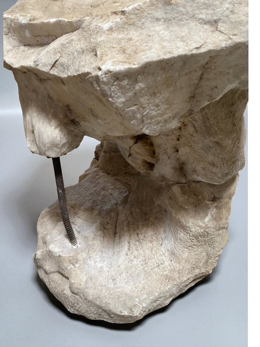 SCULTURA FRAMMENTO RAFFIGURANTE AQUILA IN MARMO-photo-4