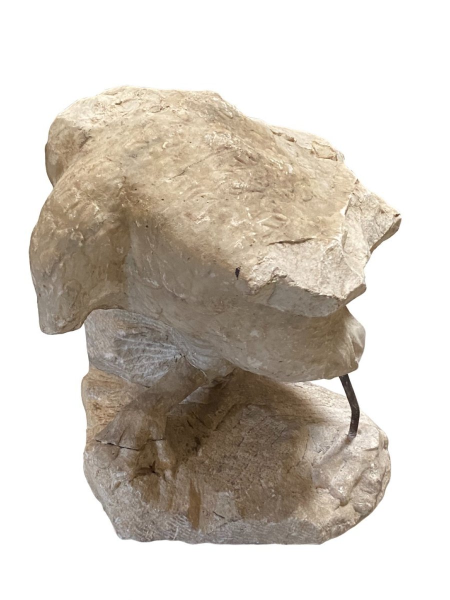 SCULTURA FRAMMENTO RAFFIGURANTE AQUILA IN MARMO-photo-7
