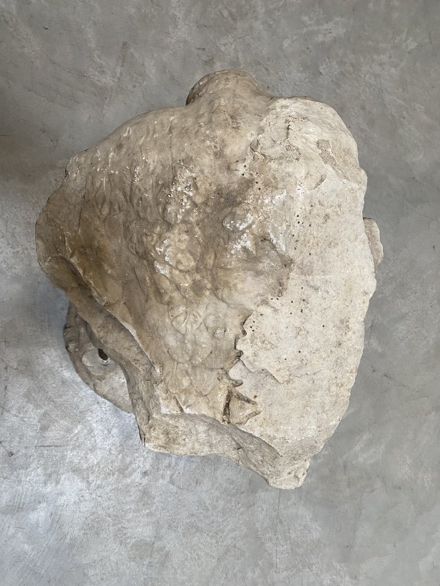 SCULTURA FRAMMENTO RAFFIGURANTE AQUILA IN MARMO-photo-8