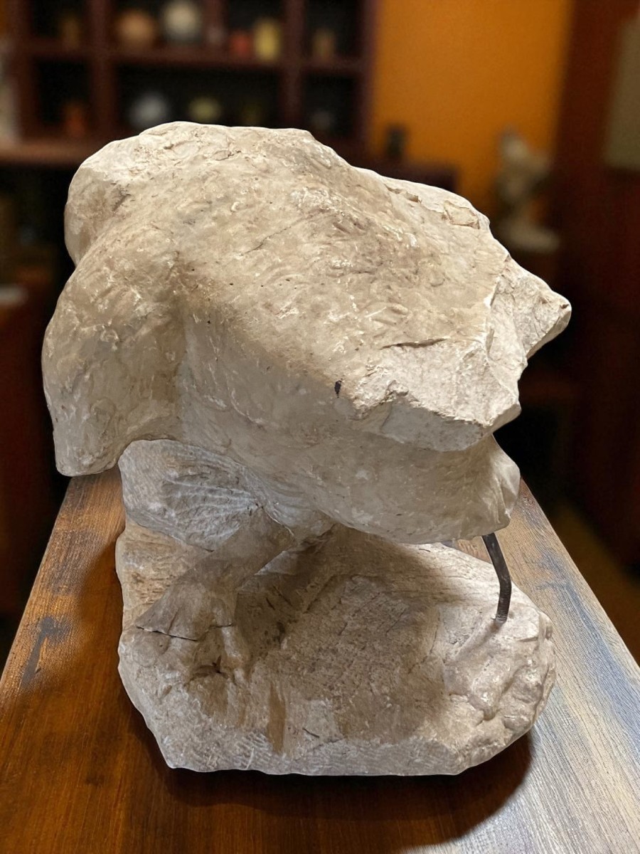 SCULTURA FRAMMENTO RAFFIGURANTE AQUILA IN MARMO