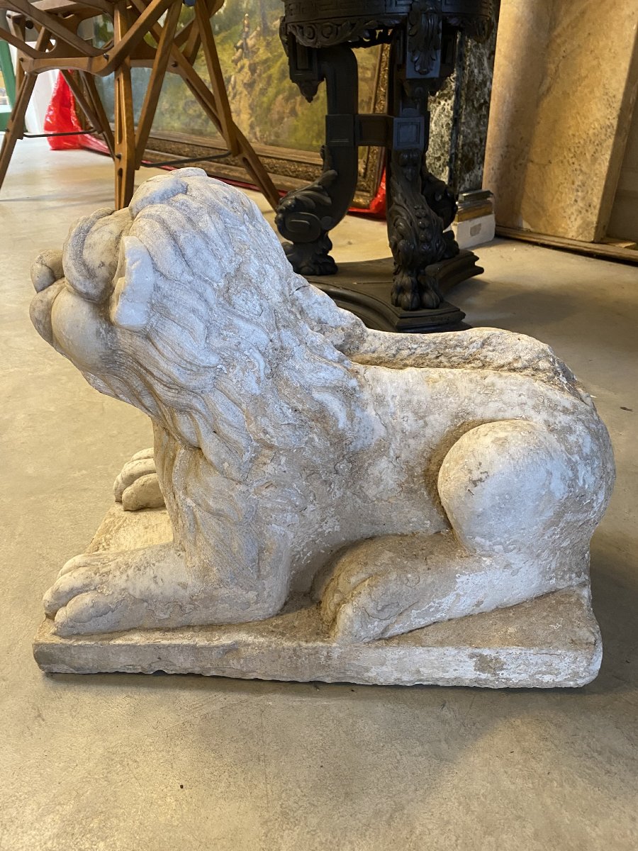 SCULTURA IN MARMO BIANCO RAPPRESENTANTE LEONE-photo-8