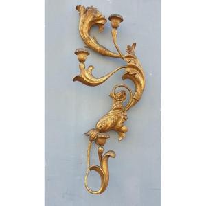 Large Sconce In Carved Golden Wood, Tuscany XIXth Century