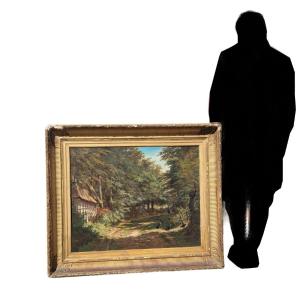 Barbizon School, Undergrowth Landscape, 19th Century