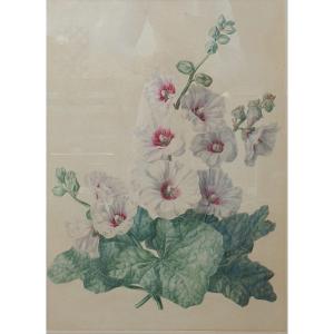 French School Of The Mid-19th Century - Hollyhocks