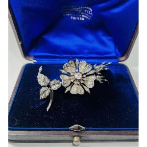 Trembling Brooch, 19th Century. Lemoine Fils Case