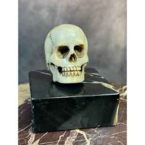 Memento Mori Or Vanity End Of 19th Century