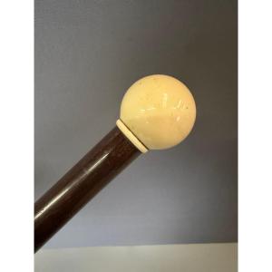 Cane With Ivory Knob