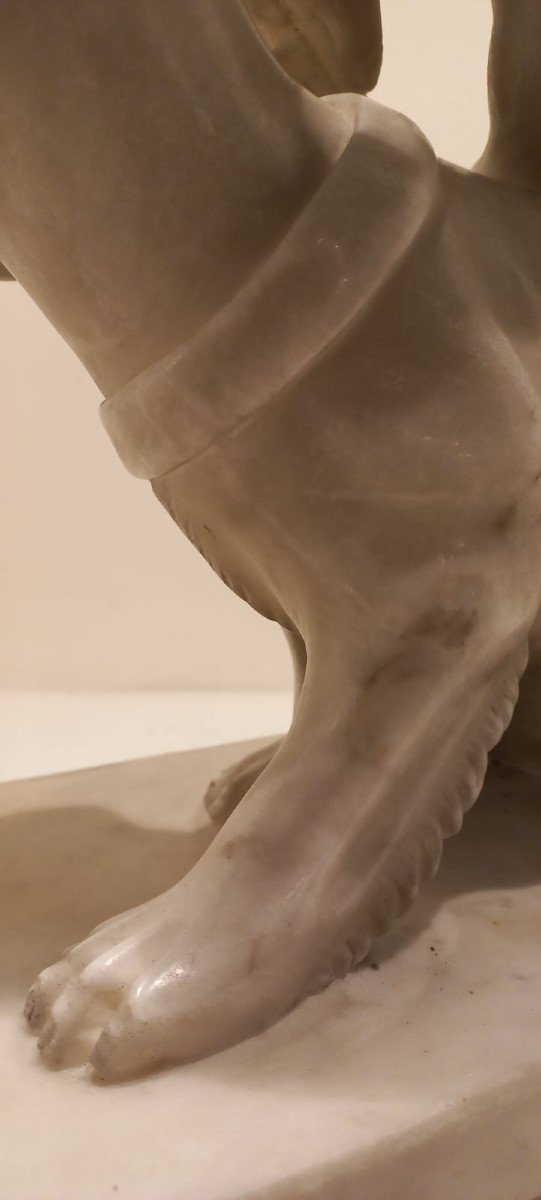 Arianna sulla pantera, scultura in marmo bianco-photo-4