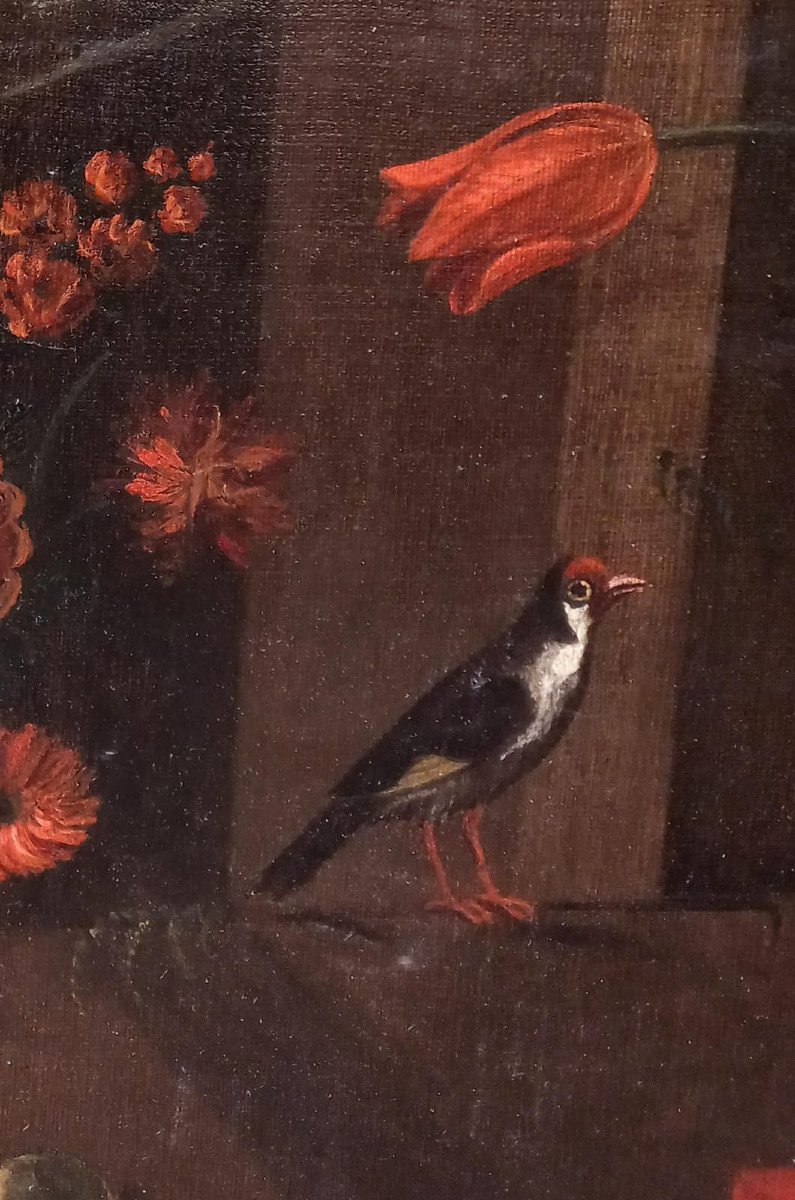 Natura morta con fiori e frutta, gatto, topo e uccellino-photo-2