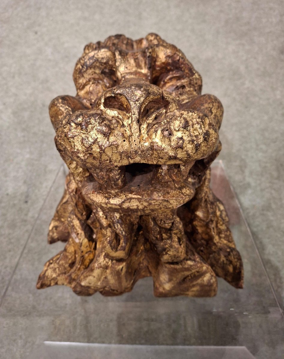 Coppia di teste leonine scolpite -photo-2