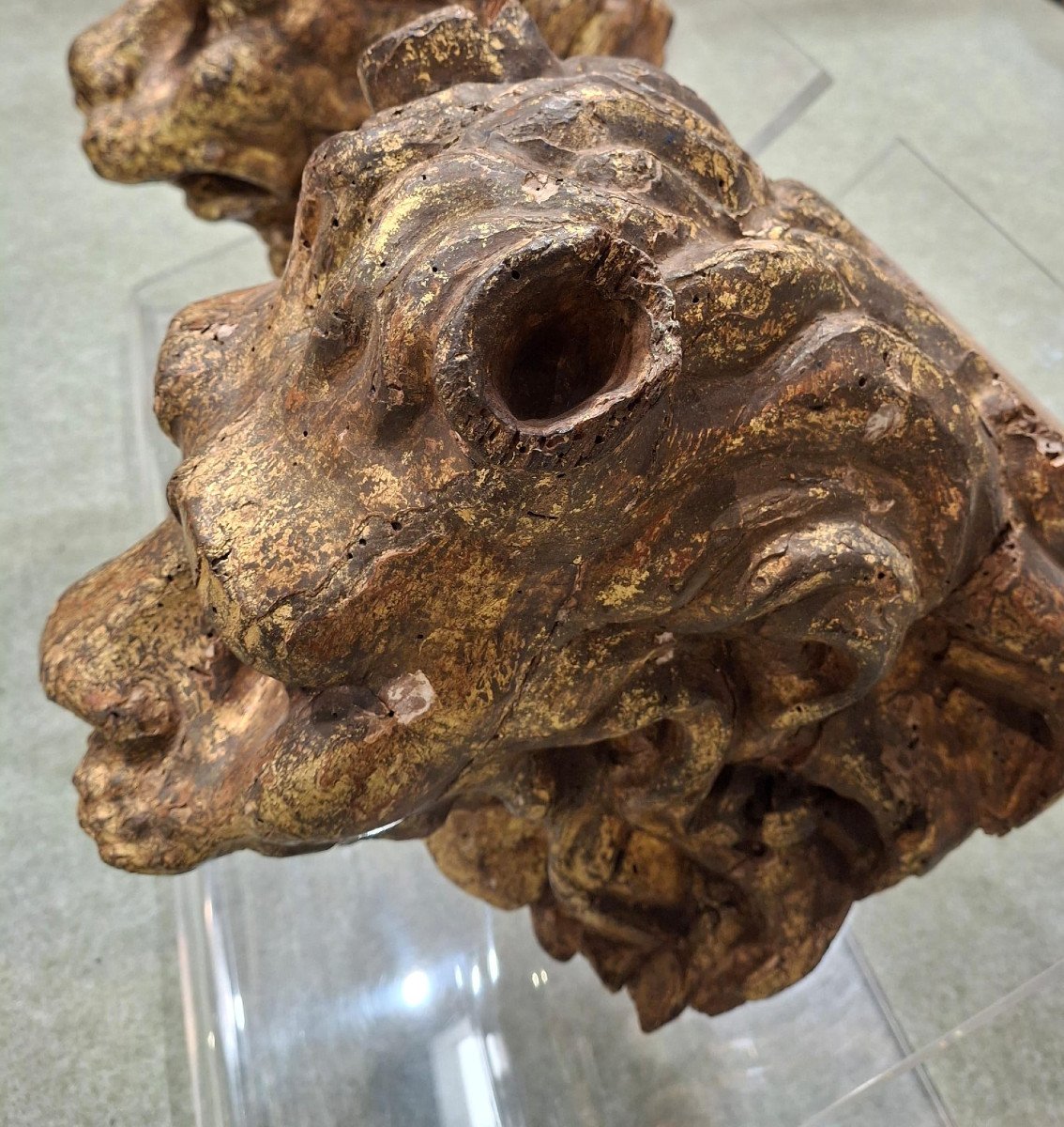Coppia di teste leonine scolpite -photo-3